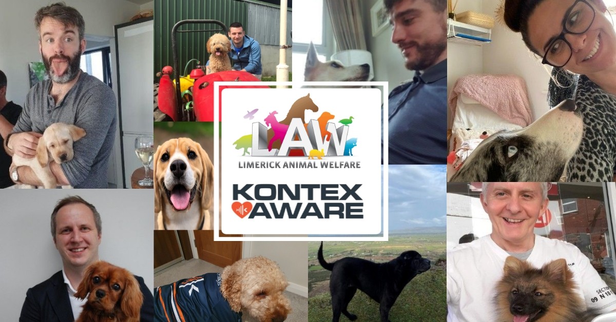Kontex Animal Lovers Support Limerick Animal Welfare in new Employee Scheme  - Kontex Cyber Security Ireland